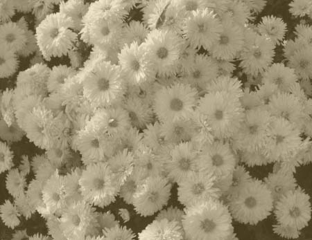 Állnak a vérvárak