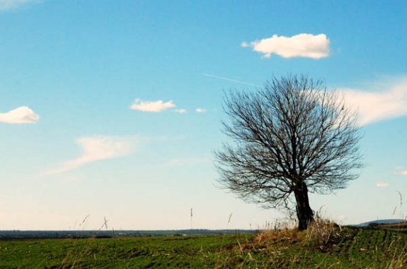 Torda, a magyar összefogás