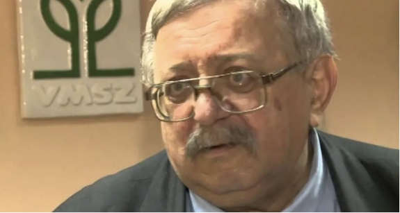 Surányi Zoltán: A Stróman