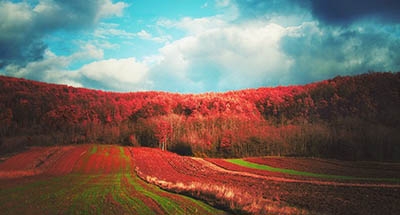 Megjegyzés a megjegyzésekhez