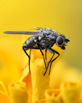 Ma már nem olvasunk újságot