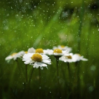 Gábriel a Délvidéken is  