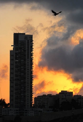 Két informatikus diák beszélget