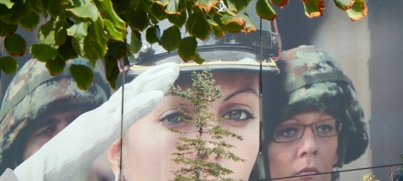 Helyzetjel: analfabéta seregek