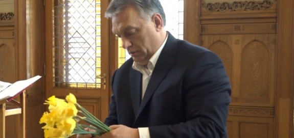 A Nemzeti Embertenyészet Rendszere