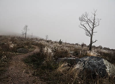 Hungary: Orbán wasteland