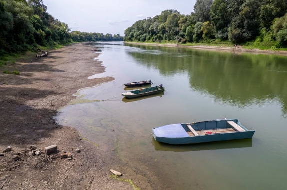 Pénz legyen vagy szabadság? - ez itt a kérdés