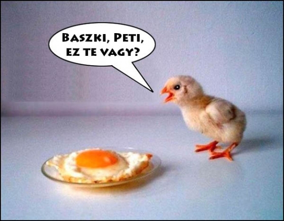 Ez te lennél?
